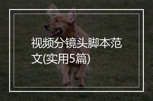视频分镜头脚本范文(实用5篇)