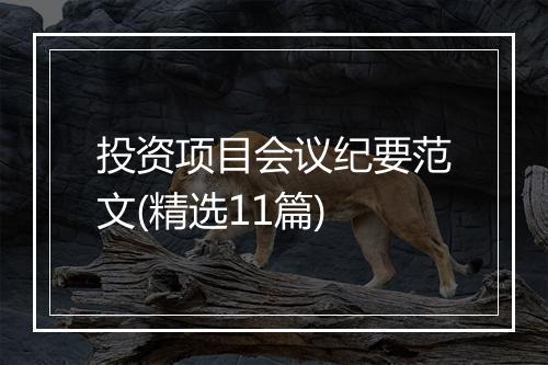 投资项目会议纪要范文(精选11篇)