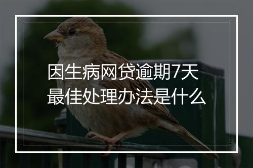 因生病网贷逾期7天最佳处理办法是什么