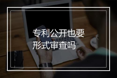 专利公开也要形式审查吗