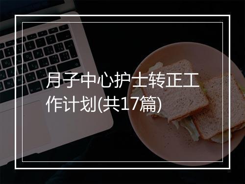 月子中心护士转正工作计划(共17篇)