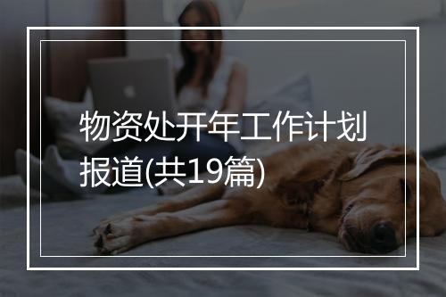 物资处开年工作计划报道(共19篇)