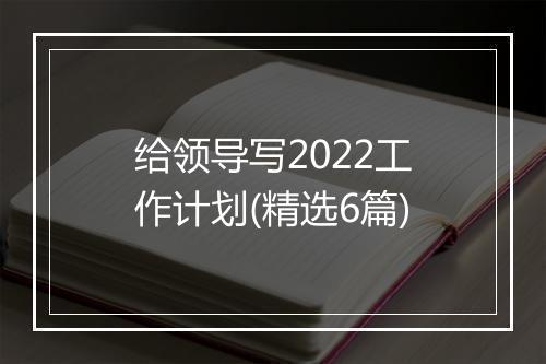 给领导写2022工作计划(精选6篇)