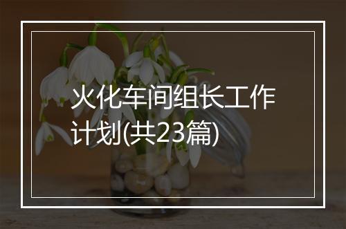 火化车间组长工作计划(共23篇)