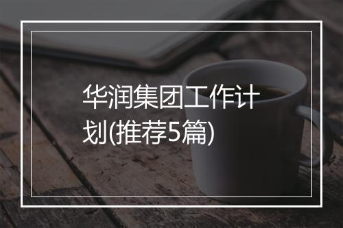 华润集团工作计划(推荐5篇)