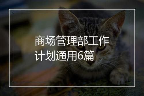 商场管理部工作计划通用6篇