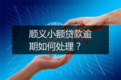 顺义小额贷款逾期如何处理？