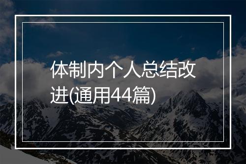 体制内个人总结改进(通用44篇)