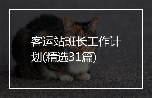 客运站班长工作计划(精选31篇)