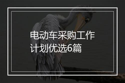 电动车采购工作计划优选6篇