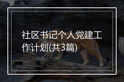 社区书记个人党建工作计划(共3篇)