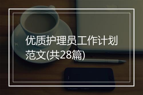 优质护理员工作计划范文(共28篇)