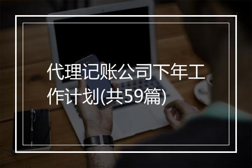 代理记账公司下年工作计划(共59篇)