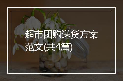 超市团购送货方案范文(共4篇)
