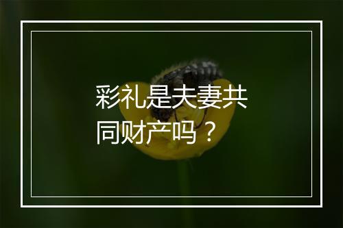 彩礼是夫妻共同财产吗？