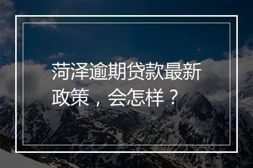 菏泽逾期贷款最新政策，会怎样？