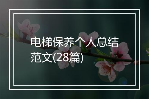 电梯保养个人总结范文(28篇)