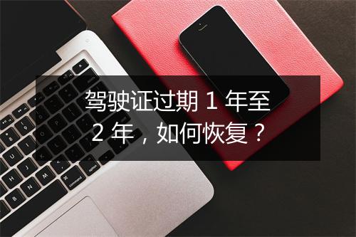 驾驶证过期 1 年至 2 年，如何恢复？