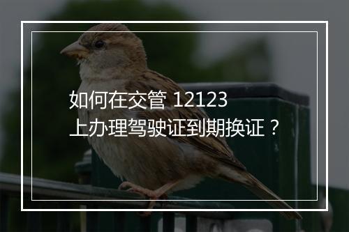 如何在交管 12123 上办理驾驶证到期换证？
