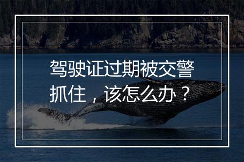 驾驶证过期被交警抓住，该怎么办？