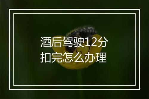 酒后驾驶12分扣完怎么办理