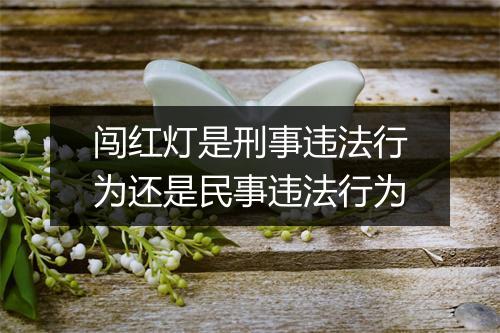 闯红灯是刑事违法行为还是民事违法行为