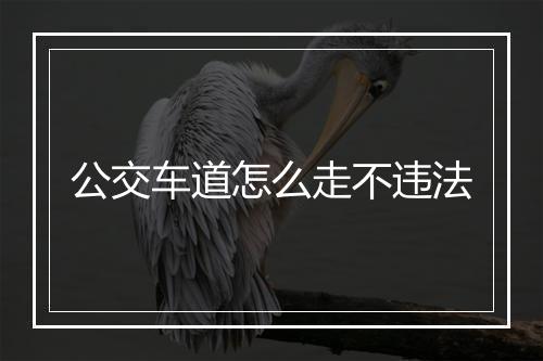 公交车道怎么走不违法