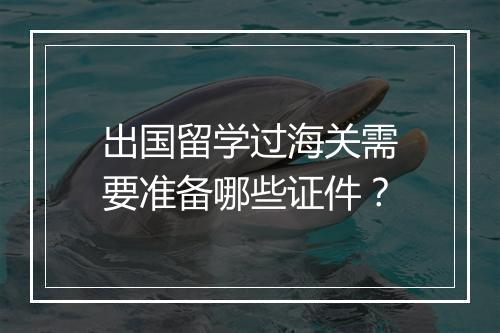 出国留学过海关需要准备哪些证件？