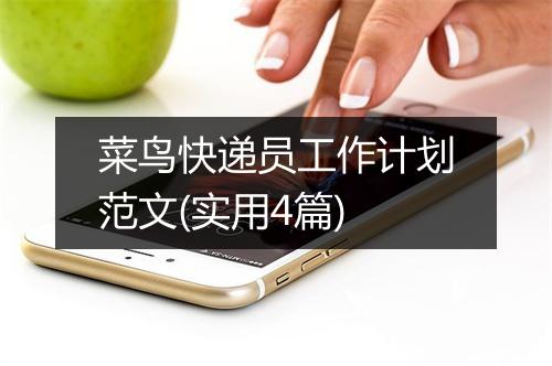 菜鸟快递员工作计划范文(实用4篇)