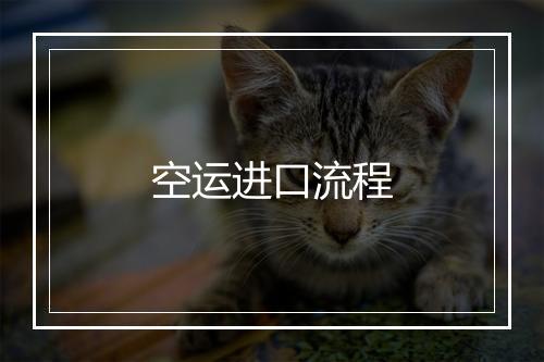 空运进口流程