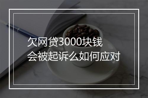 欠网贷3000块钱会被起诉么如何应对