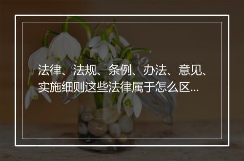 法律、法规、条例、办法、意见、实施细则这些法律属于怎么区分？