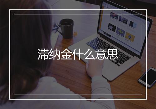 滞纳金什么意思