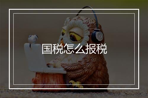 国税怎么报税