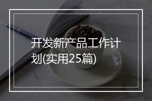 开发新产品工作计划(实用25篇)