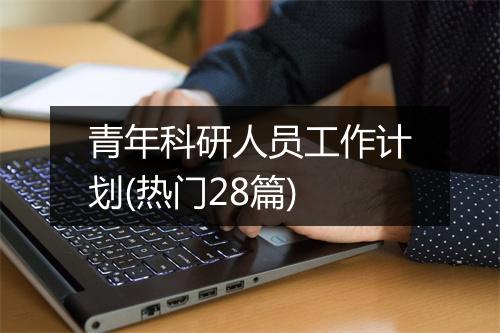 青年科研人员工作计划(热门28篇)