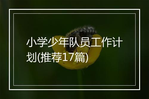 小学少年队员工作计划(推荐17篇)