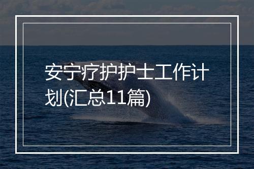 安宁疗护护士工作计划(汇总11篇)
