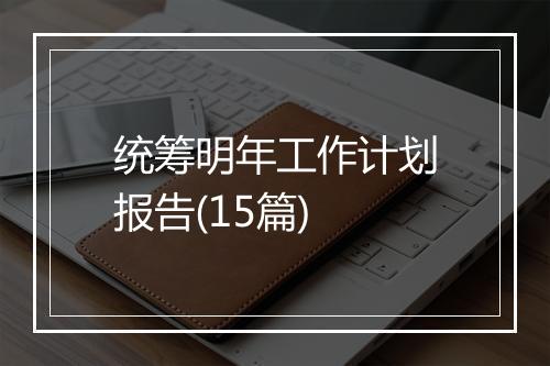 统筹明年工作计划报告(15篇)