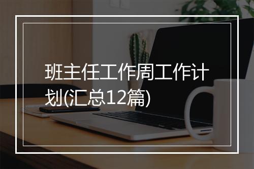 班主任工作周工作计划(汇总12篇)