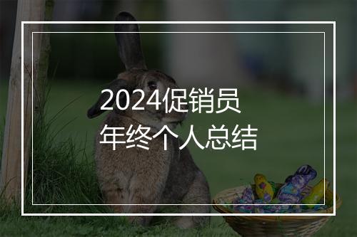 2024促销员年终个人总结