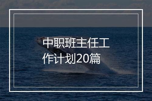中职班主任工作计划20篇