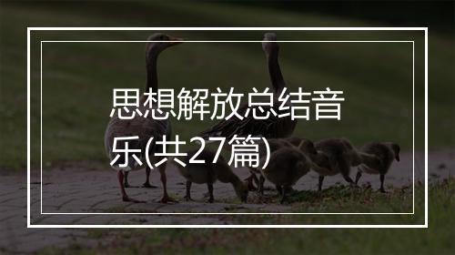 思想解放总结音乐(共27篇)