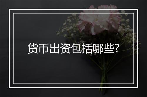 货币出资包括哪些?