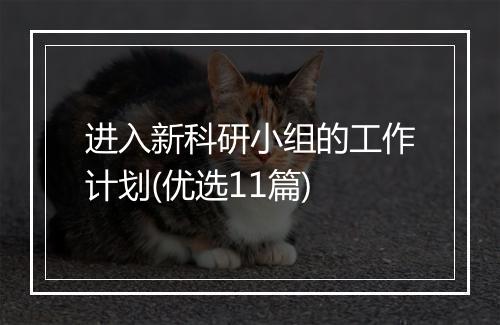 进入新科研小组的工作计划(优选11篇)