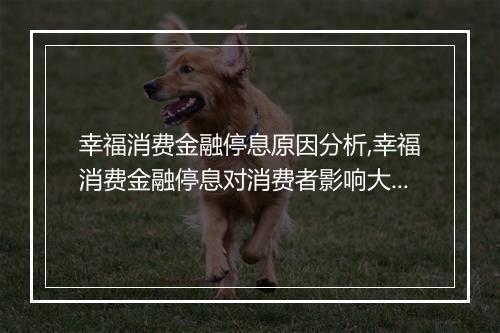 幸福消费金融停息原因分析,幸福消费金融停息对消费者影响大吗