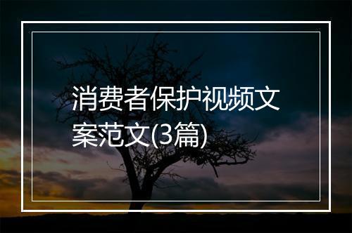 消费者保护视频文案范文(3篇)