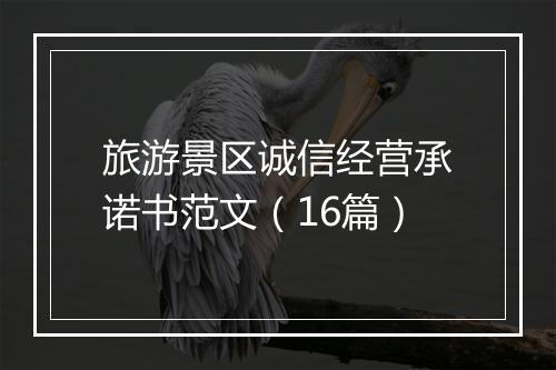 旅游景区诚信经营承诺书范文（16篇）