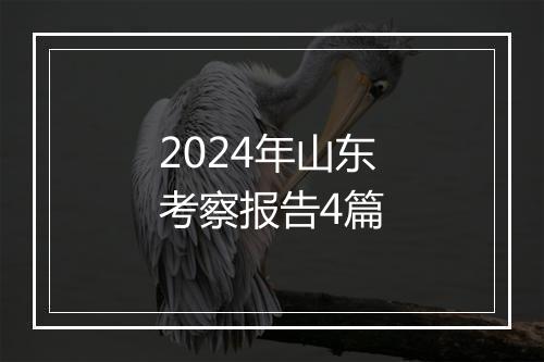 2024年山东考察报告4篇