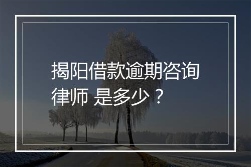 揭阳借款逾期咨询律师 是多少？